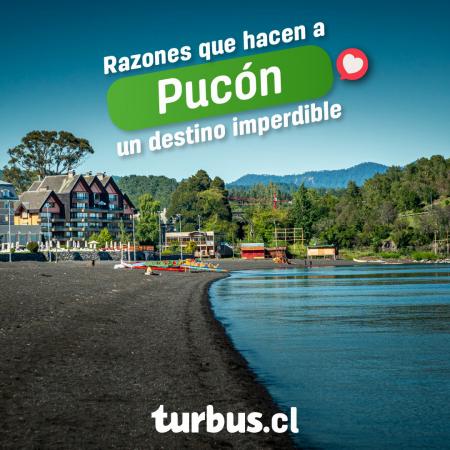Catálogo Tur Bus | Razones que hacen a Pucon un destino imperdible | 28-02-2023 - 31-03-2023