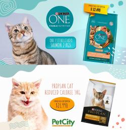 Ofertas de Supermercados y Alimentación en el catálogo de Pet City ( Vence hoy)
