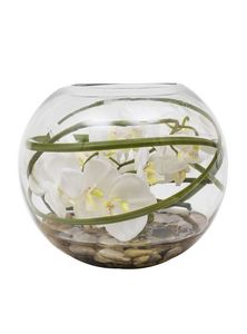 Oferta de Orquídea Esfera de Vidrio 20 cm por $24990 en Paris