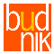 Logo Budnik